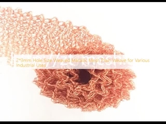2*3 मिमी छेद आकार बुना हुआ धातु जाल विभिन्न औद्योगिक उपयोगों के लिए सादा बुना हुआ