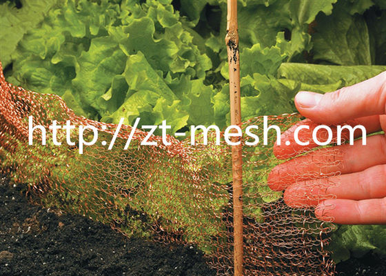 फ्लैट-प्रकार और नालीदार प्रकार की सतह सर्पिल घाव या संपीड़ित शिल्प के साथ जस्ती वेल्डेड तार जाल